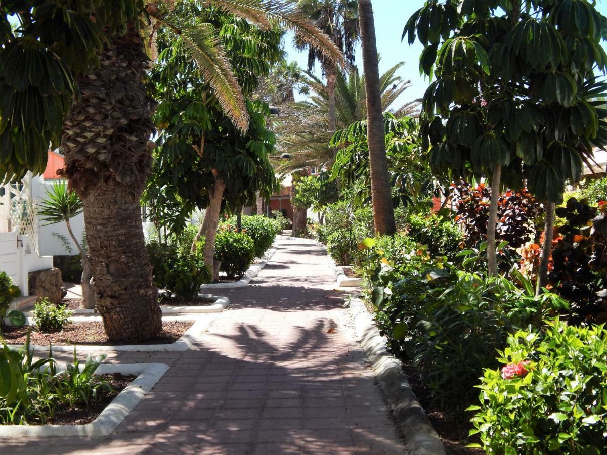 Beautiful Beachfront Playa de las Americas  Exteriér fotografie